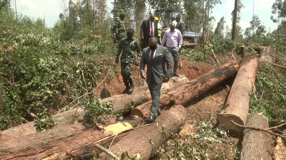 Veep Orders Investigation Into Lusangazi Forest Destruction